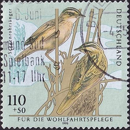  1998  .   (Acrocephalus paludicola) .  2,10 .